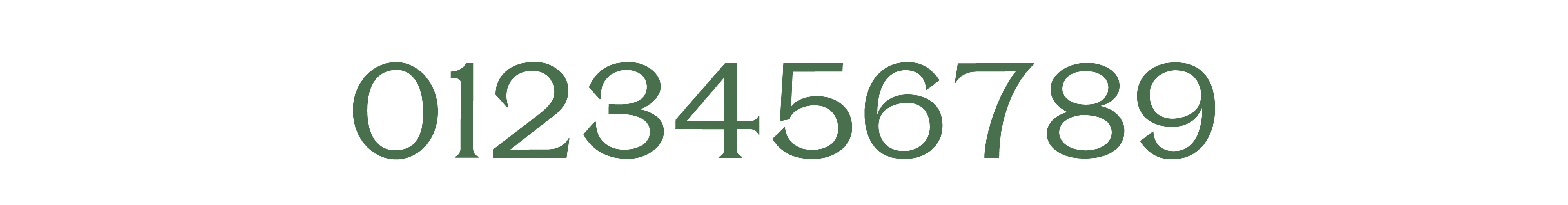 Project 6 image